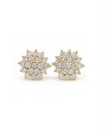 Classic Golden Round Rositas Stud Diamond Earrings 14K