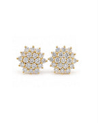 Classic Golden Round Rositas Stud Diamond Earrings 14K